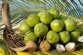 Bhuwal Coconut