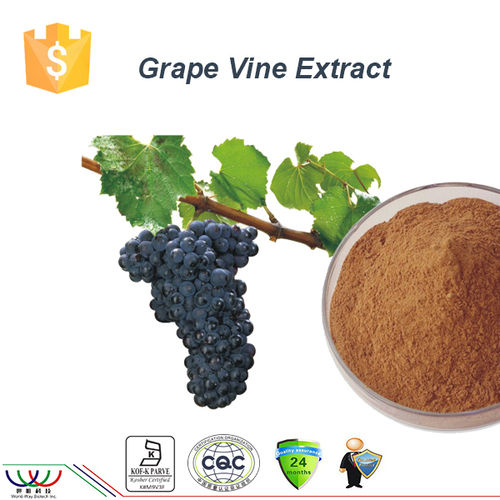 Nature Antioxidant Resveratrol Grape Vine Extract