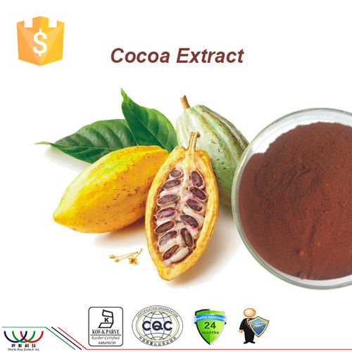 Pure Cocoa Seed Extract