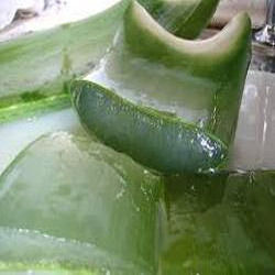 Aloe Vera Juice