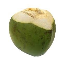 Green Coconut