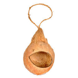 Middle Hole Shell Bird Feeder