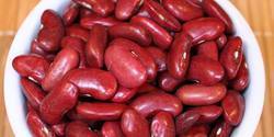 Rajma Bean