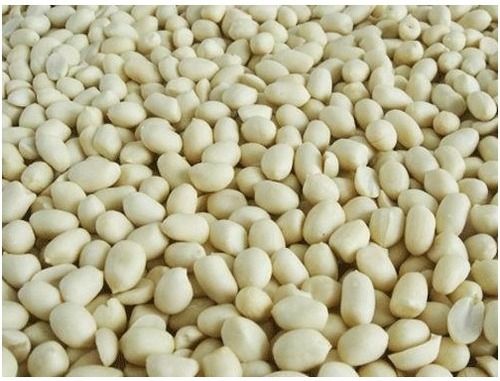 Blanched Peanut Kernels - Long & Round Types 25/29, 36/41 | Global Export Quality, Variety of Specifications