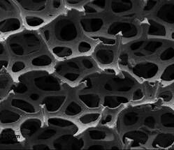 Nickel Graphene Foam