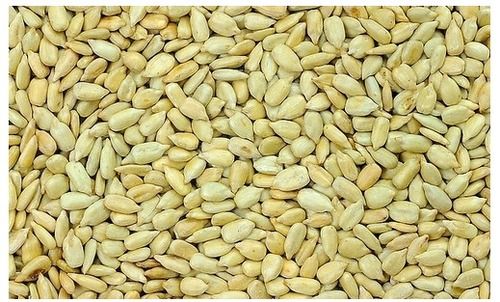 Sunflower Seed Kernels