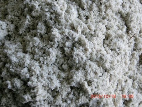 Asbestos Fiber