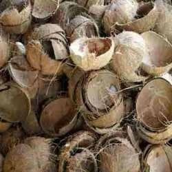 Husk Coconut Shell