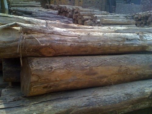 African Teak Wood Timber