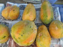 Fresh Papaya