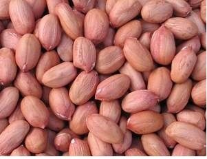 Peanut (Ground Nut)