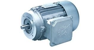 Brake Motor - Robust Design | Easy Installation, Low Maintenance, Application Oriented Features, Various Models Available