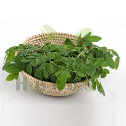 Organic Moringa Leaves