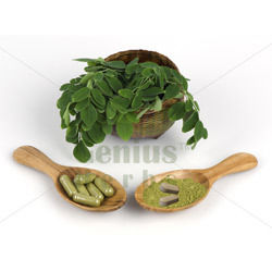 Organic Moringa Tablets And Capsules