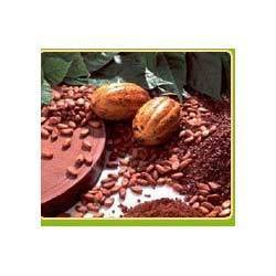 Cocoa Seed Extracts