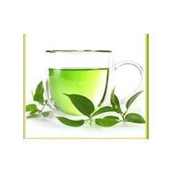 Green Tea Extracts