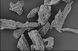 Microcrystalline Cellulose