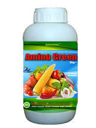 Amino Acid Plant Growth Promoter