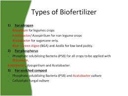Biofertilizer