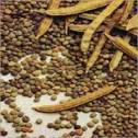 Guar Cattle Feed