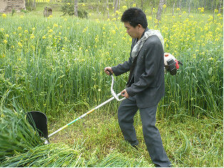 Portable Harvester