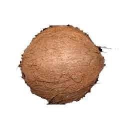  परिपक्व नारियल