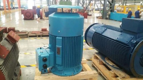 Vertical Electric Motors