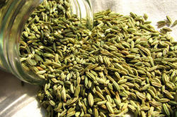 Fresh Fennel Seeds