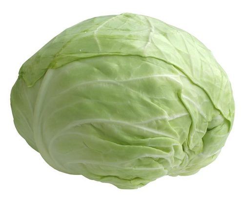 Fresh Cabbage