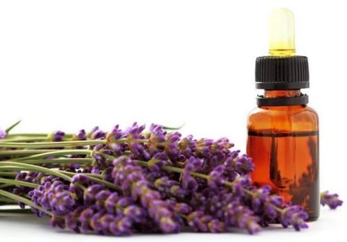 Lavender Oil