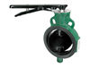 Zoloto Ci Butterfly Valve