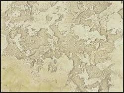 Gypsum Stucco Plaster