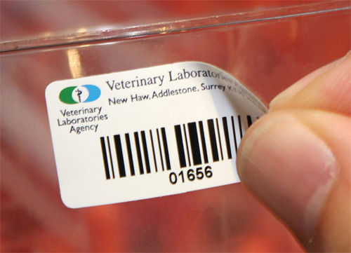 Laboratory Labels
