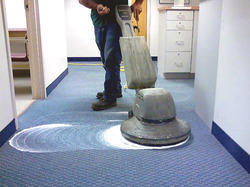 Carpet Shampooing Services - Professional Grade Cleaners, Expert Technicians for Deep Carpet Care