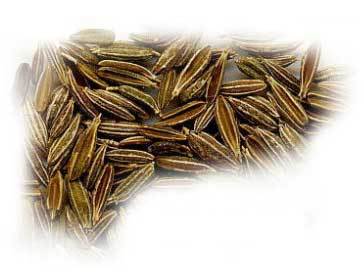 Cumin Seeds