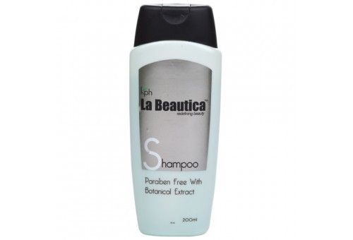 Paraben Free With Botanical Extracts Shampoo