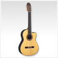 Electric Nylon String Guitars