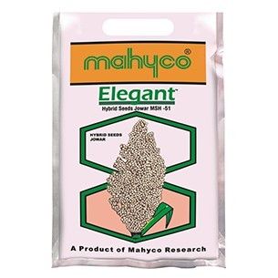 Elegant Hybrid Jowar Seeds