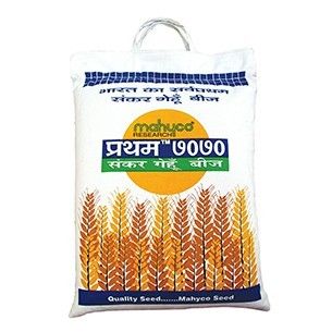 Pratham Hybrid Wheat Seed