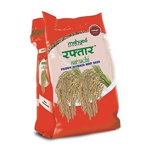 Raftaar Suruchi Paddy Hybrid Seeds