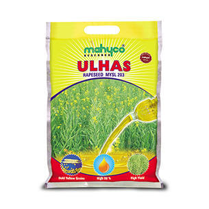 Ulhas Rapeseed Seeds