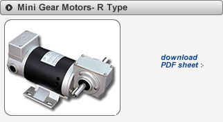 Mini Gear Motors R Type