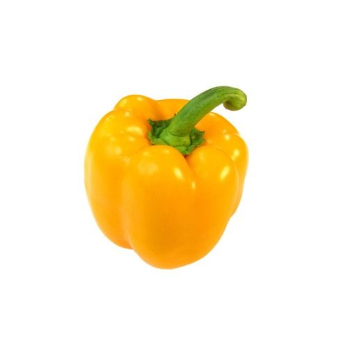 Capsicum Yellow