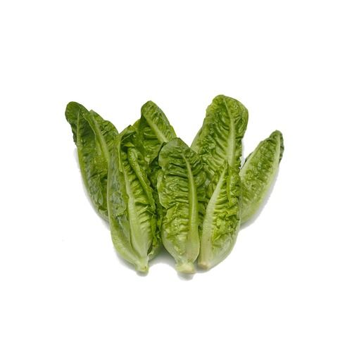 Cos Lettuce Salad (Roman Lettuce)