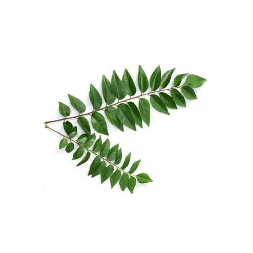 Curry Leaves