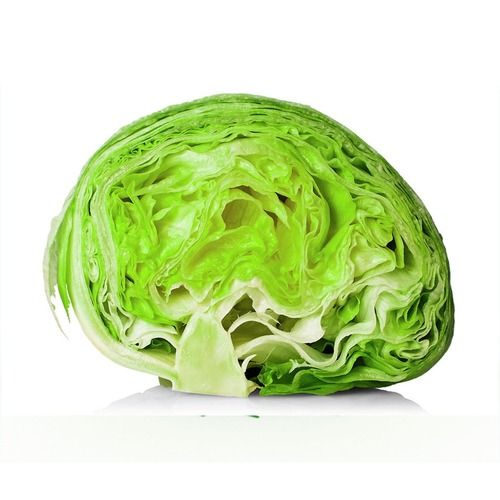 Lettuce Iceberg Salad Grade: 302