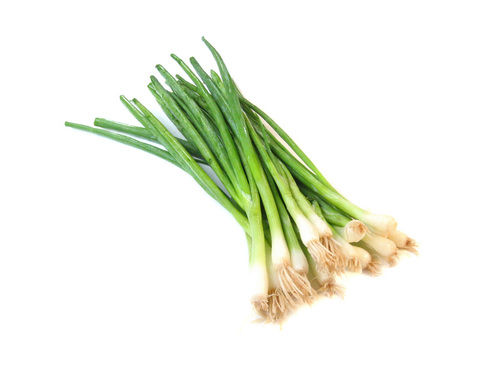Spring Onion Leaves