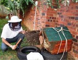 Apiculture Services