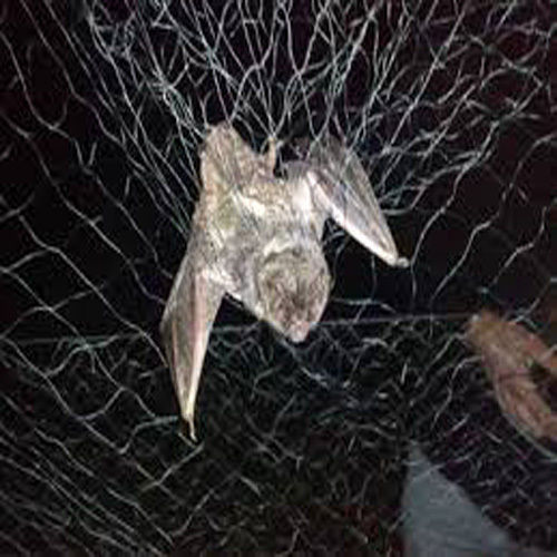 Mist Net For Bats