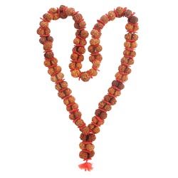 Gauri Shankar Rudraksha Kantha Mala